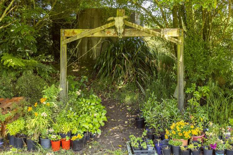 72 Ridgetop Way Oruanui_41