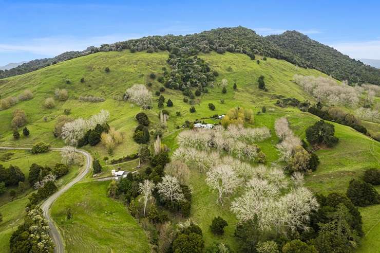 The Northland property, which comes with a four-bedroom home and swimming pool, was bought as a post-Covid lockdown bolthole. Photo / Supplied