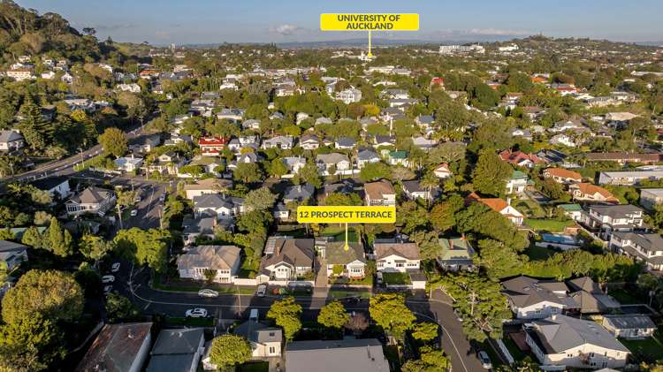 12 Prospect Terrace Mount Eden_16