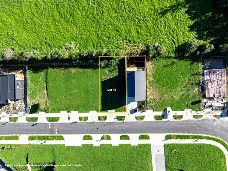 53 Picnic Point Road Hobsonville_7