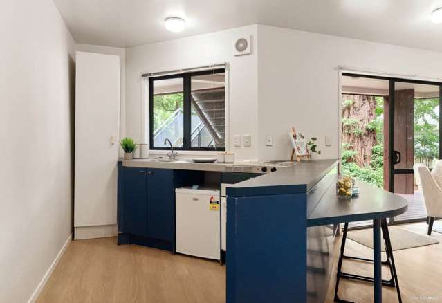 3/5 The Avenue Albany_4