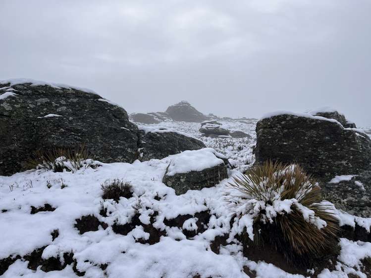 Conroys Conroys Gully_22