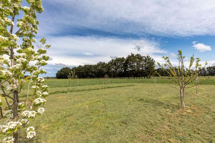 162 Taylor Road Ongaonga_12