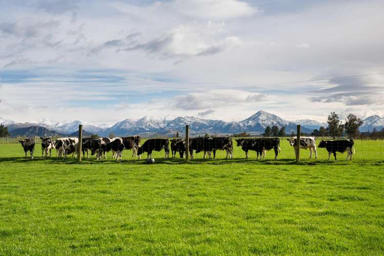 Lots 10-16 The Terraces - Smith Road Wanaka_9