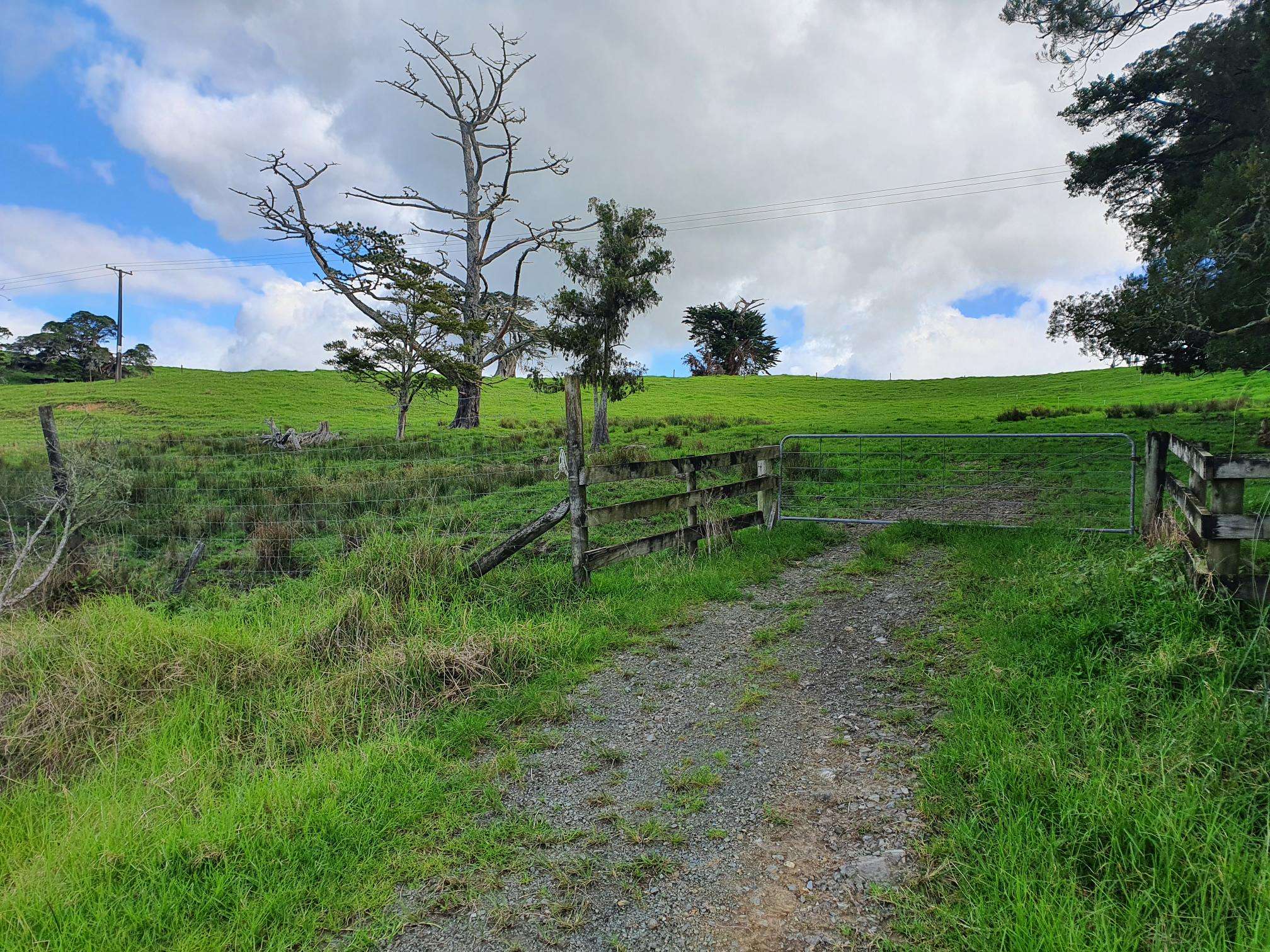 Curd Road Maungakaramea Whangārei Rural Property For Sale One Roof