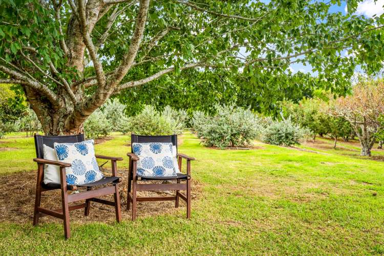 244 Omaha Flats Road Tawharanui Peninsula_20