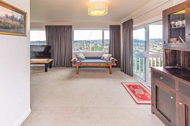 46 Mount View Road Bastia Hill_4