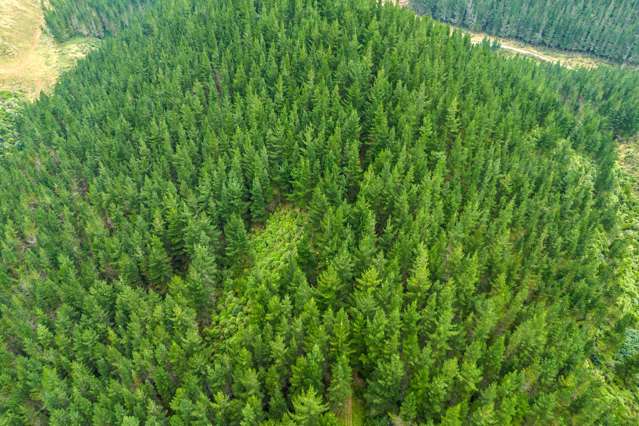 Te Moana Road Geraldine_4