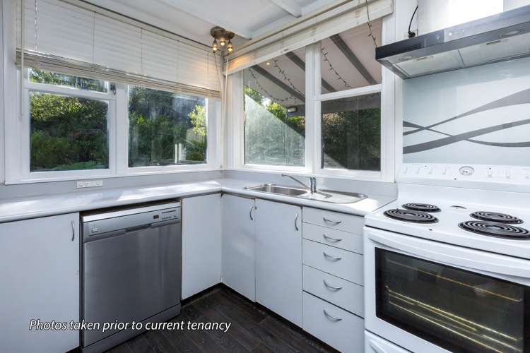 16 Akatarawa Road Brown Owl_10