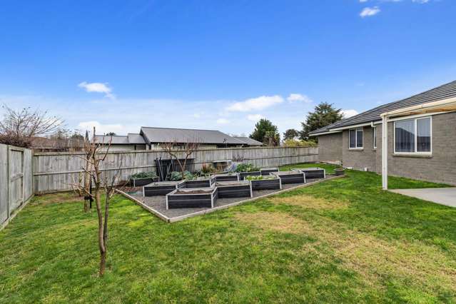 47 Ritchie Street Te Aroha_3