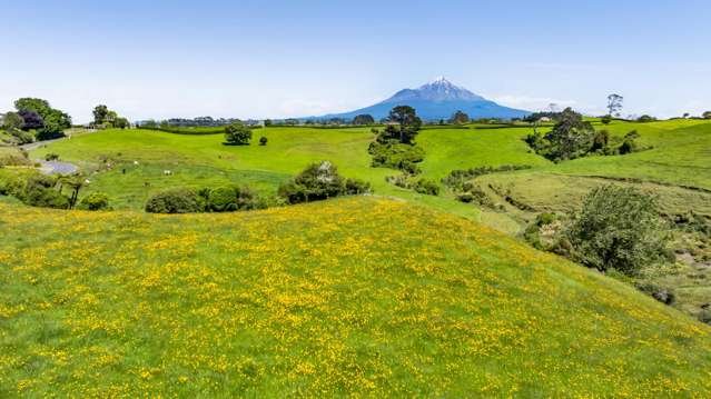 32C Bird Road Bird Road_4