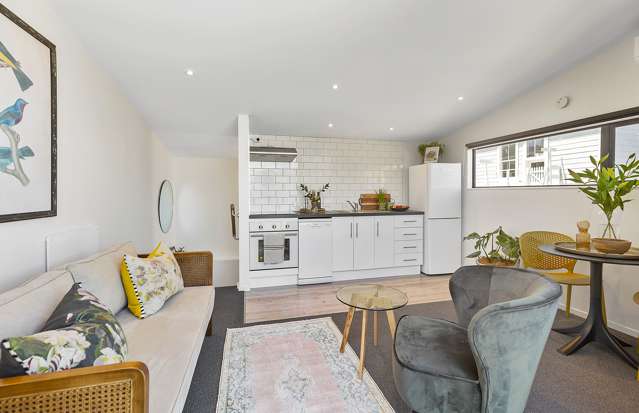 11b Caroline Street Mount Victoria_4