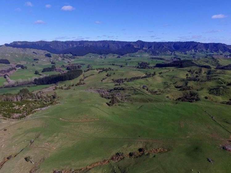 2286 State Highway 3 Mahoenui_2