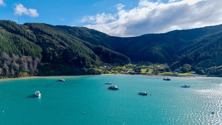 1466 Port Underwood Road Port Underwood_22