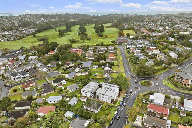 48 Astley Avenue New Lynn_3