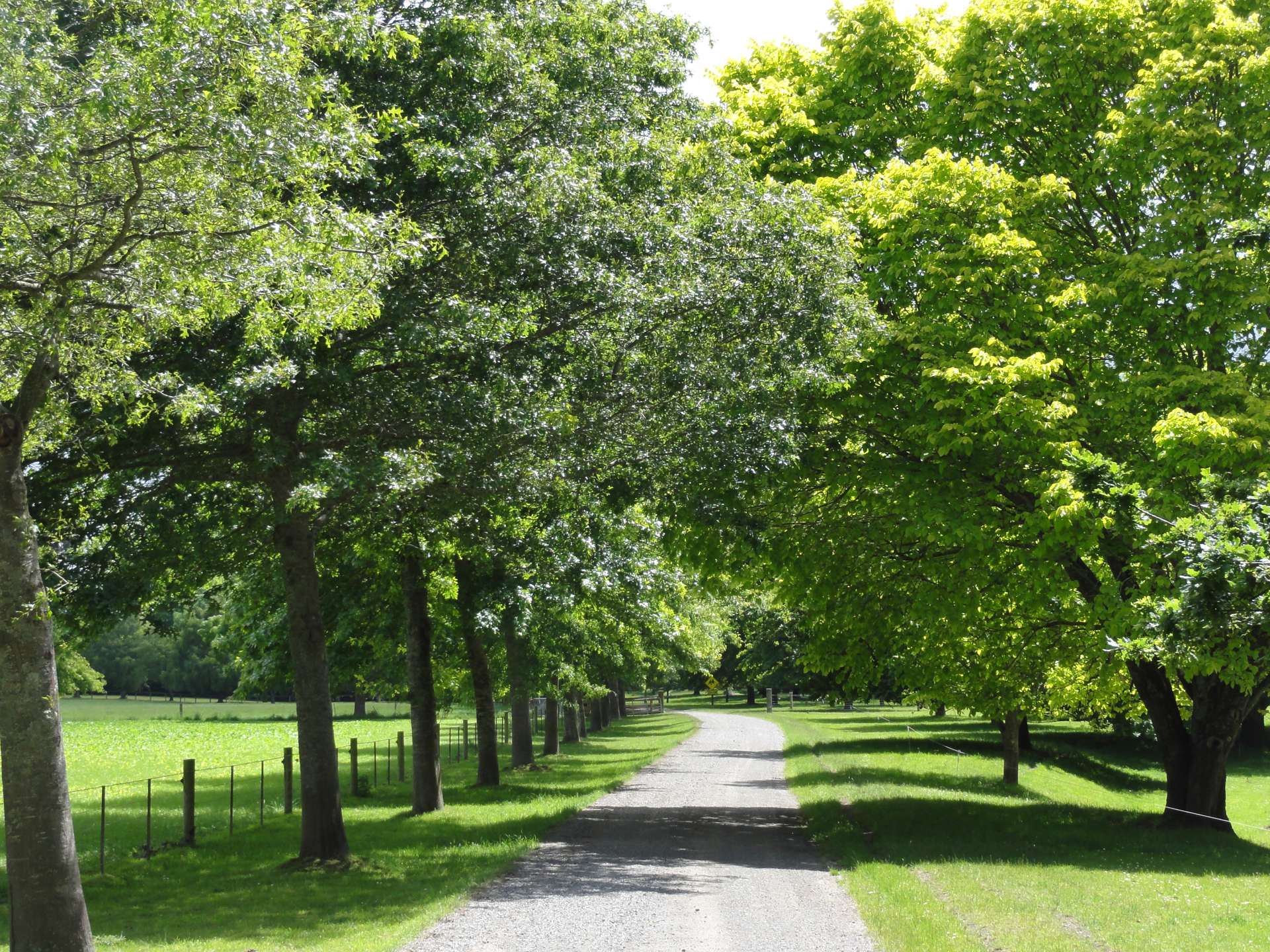 431 Harmans Gorge Road View Hill_0