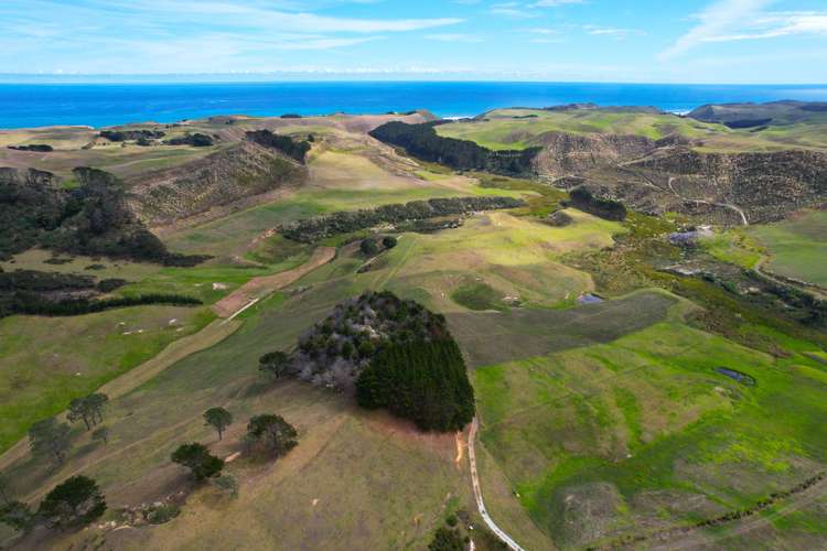 Babylon Coast Road Dargaville_12