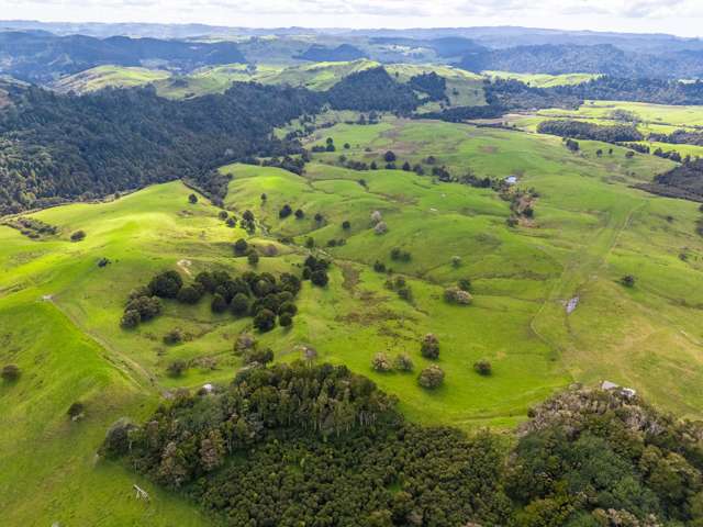 325b Haruru Road Wainui_3