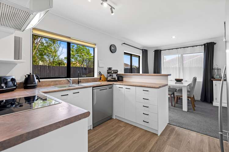 6 Lothian Brae Wattle Downs_7