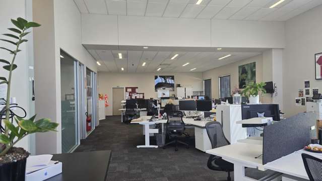 607 Cameron Road South Tauranga South_4