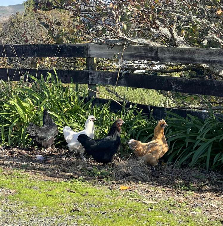 6 Julian Street Te Kuiti_18