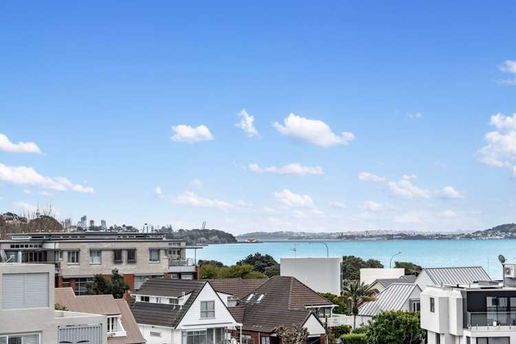 25 Vale Road Saint Heliers_34