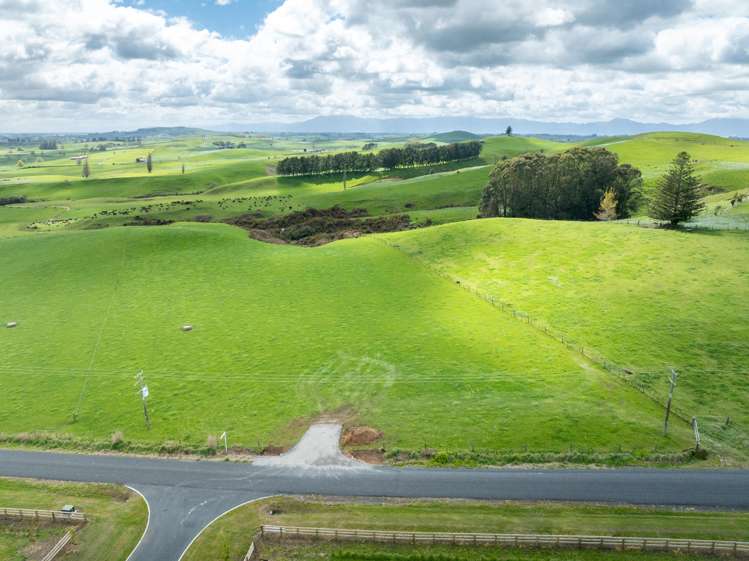 Waterworks Road Morrinsville_2
