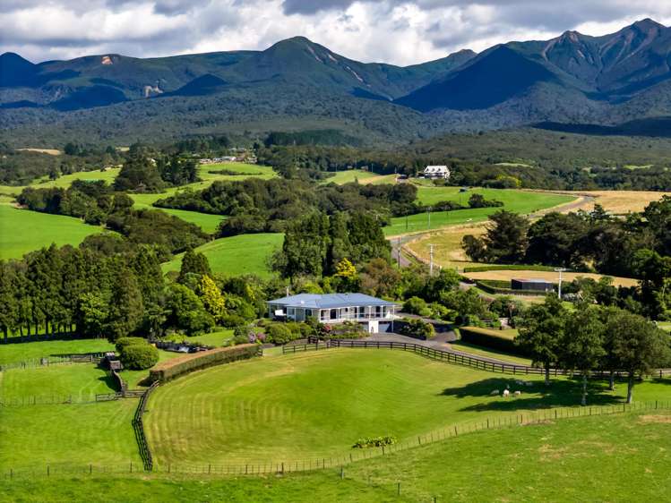 911 Plymouth Road Koru_33