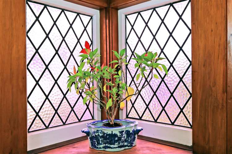 604 Saint Aubyn Street West Saint Leonards_20