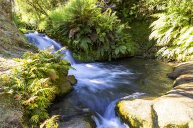 1/394 Orakei Korako Road_3