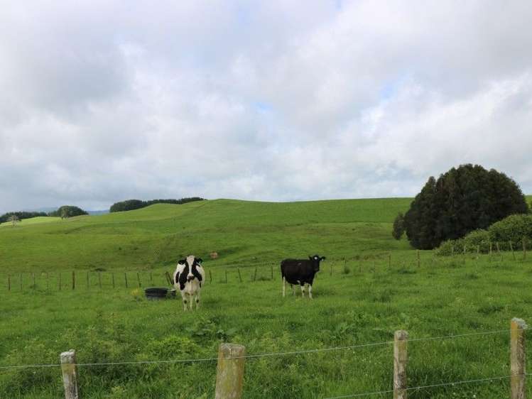 1190 Lake Arapuni Road Putaruru_22