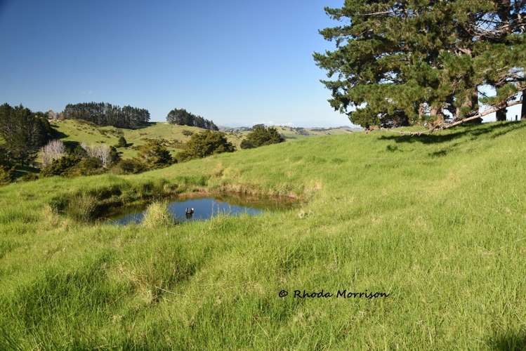 330 Franklin Road Paparoa_64