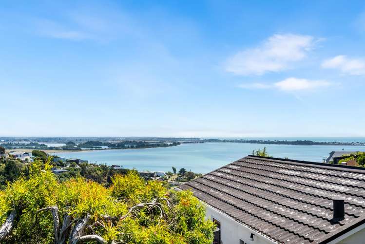 65 Soleares Avenue Mount Pleasant_32