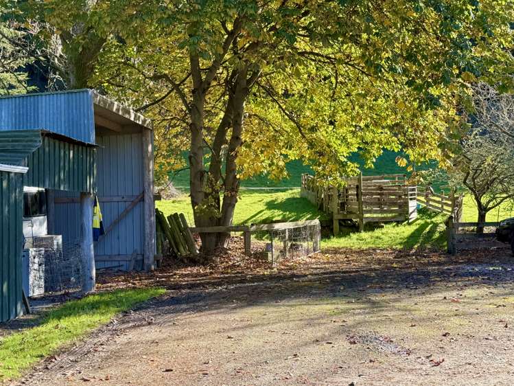 22 Reid Road Herbert_26