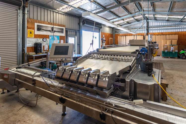 5932 State Highway 27 Ngarua_10