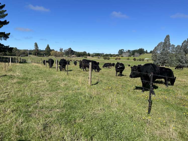 623 Palmerston-Waikouaiti Road Goodwood Palmerston_25