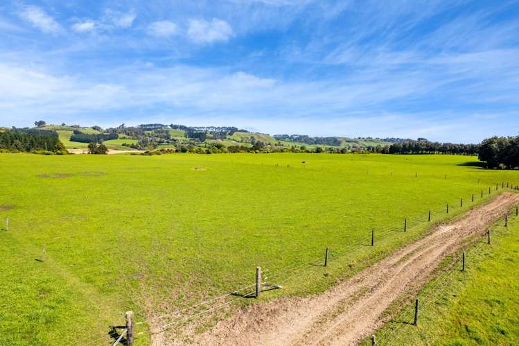 226 Pukearuhe Road Mimi_15