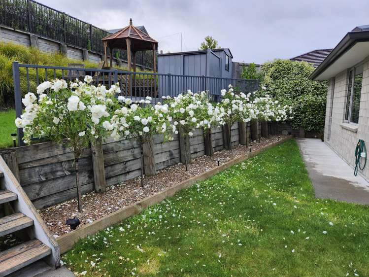 9 Puhirake Crescent Pyes Pa_13