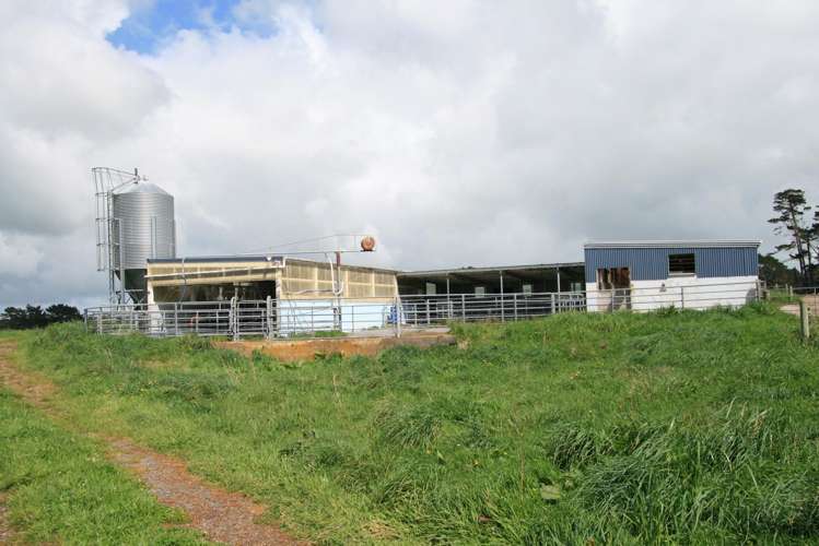297 Mangawhero Road Auroa_11
