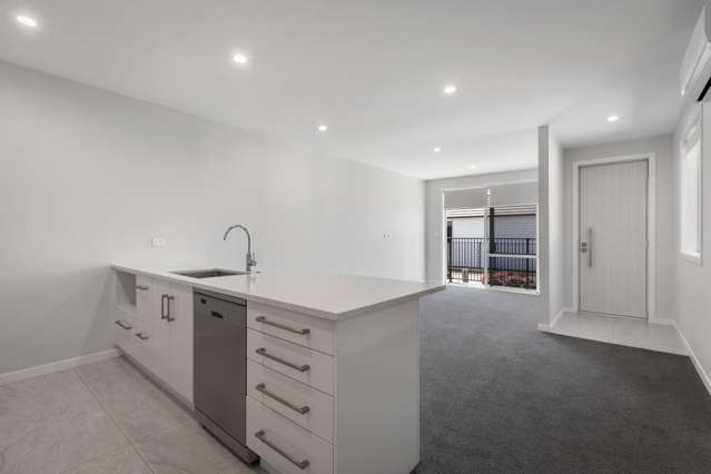 11 Patricia Place Katikati_2