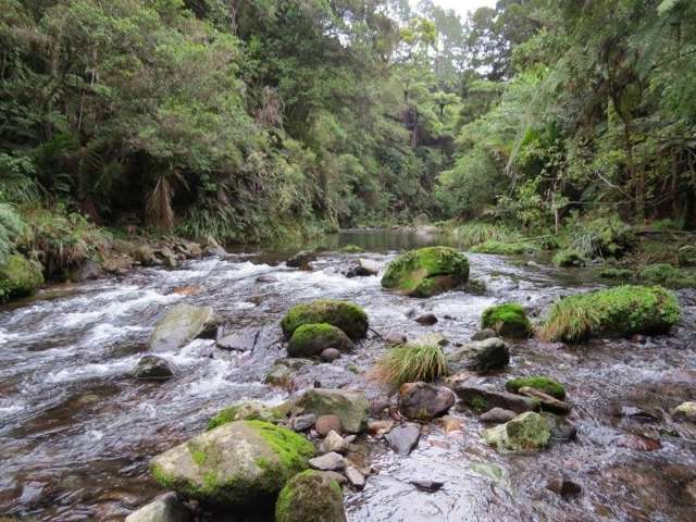 747a No 4 Road Te Puke_1