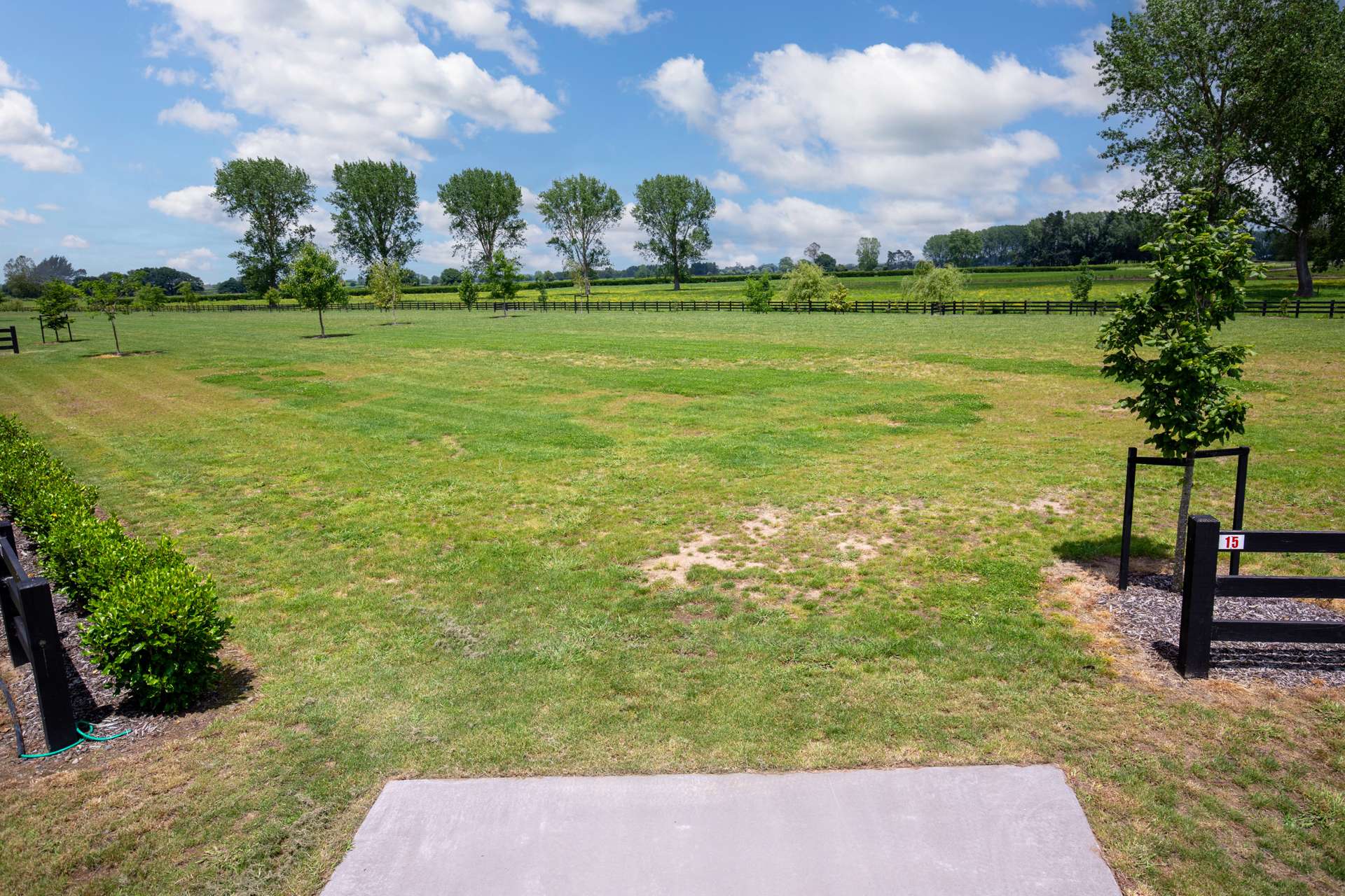 15 Olive Place Matamata_0