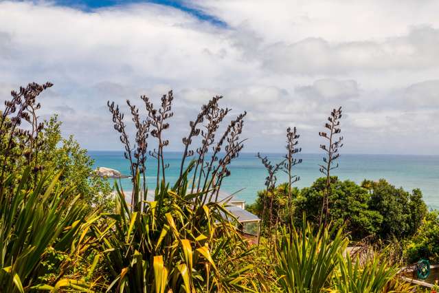 60 Waitea Road Muriwai_1