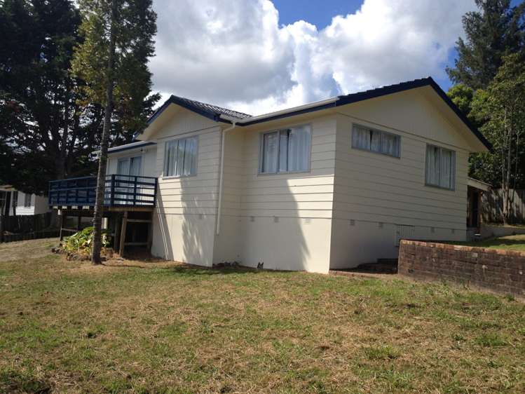 20 Leo Street Glen Eden_5