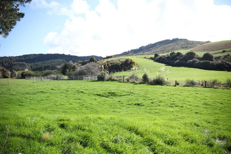 342 Niagara Waikawa Road Catlins Surrounds_10