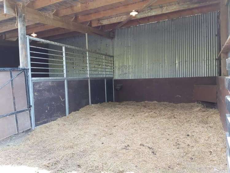 367 Wakefield-Kohatu Highway Wakefield_19