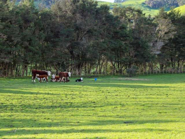 49 Block Road Hikutaia_4