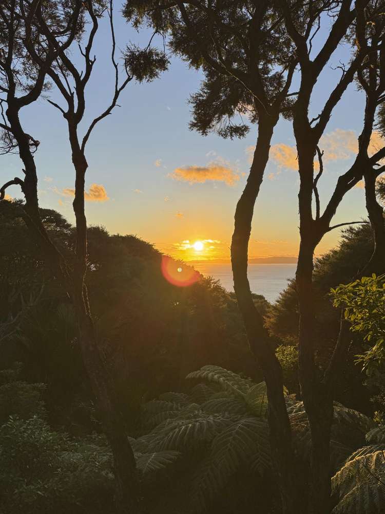 126 Waihirere Drive, Tuateawa Tuateawa_12