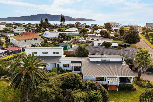 Extended Family Living or Potential to Earn