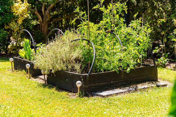 70 Jack Boyd Drive Mangawhai Heads_15